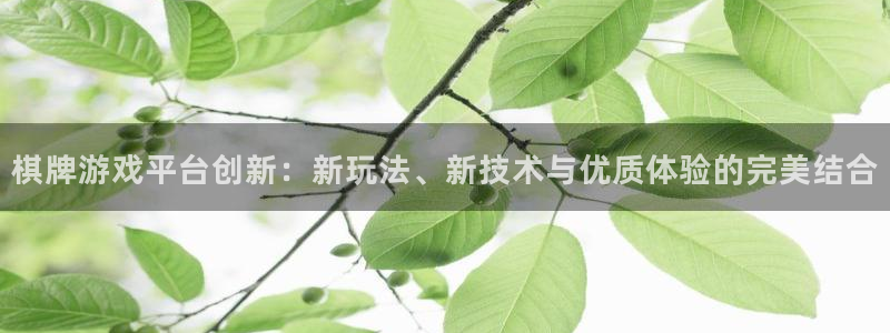 V8娱乐注册：棋牌游戏平台创新：新玩法、新技术与优质体验的完
