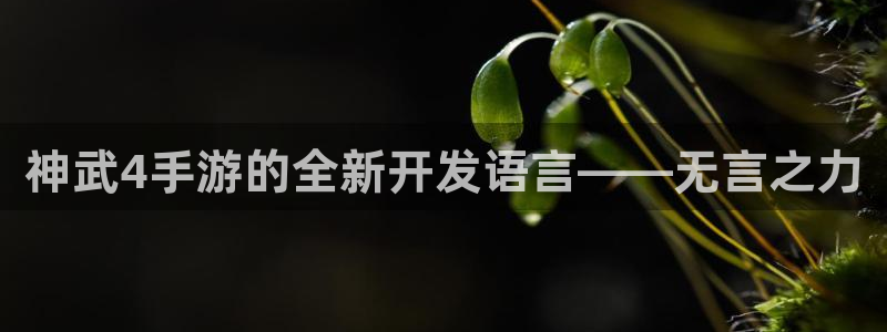 V8娱乐平台