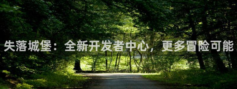 V8娱乐注册：失落城堡：全新开发者中心，更多冒险可能