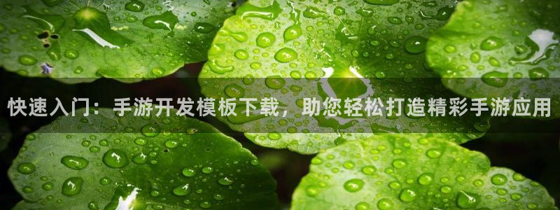V8娱乐登录：快速入门：手游开发模板下载，助您轻松打造精彩手