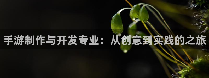 V8娱乐注册：手游制作与开发专业：从创意到实践的之旅