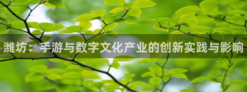 V8娱乐登录：潍坊：手游与数字文化产业的创新实践与影响