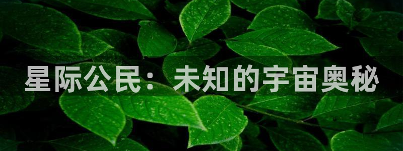 V8娱乐官网：星际公民：未知的宇宙奥秘