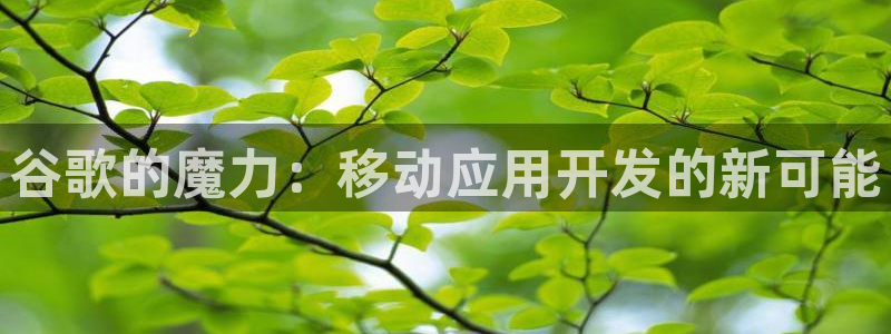 V8娱乐登录：谷歌的魔力：移动应用开发的新可能