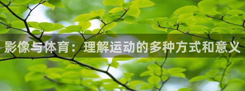三亿体育网页版：影像与体育：理解运动的多种方式和意义