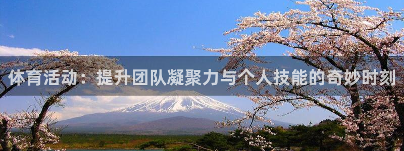 三亿体育网：体育活动：提升团队凝聚力与个人技能的奇妙时刻