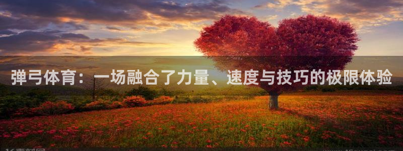 三亿体育：弹弓体育：一场融合了力量、速度与技巧的极限体验