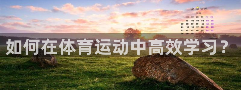 三亿体育网