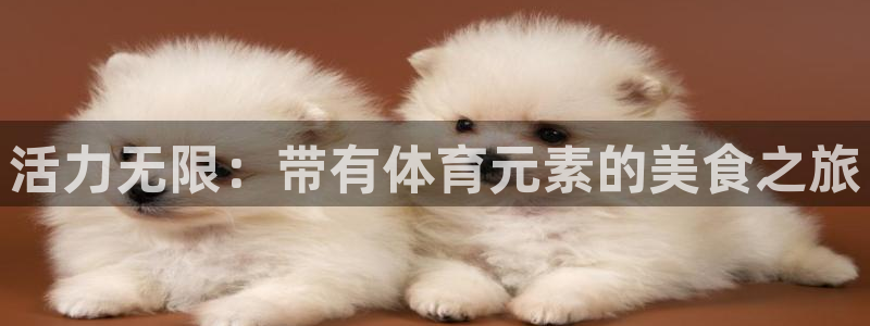 三亿体育登录：活力无限：带有体育元素的美食之旅